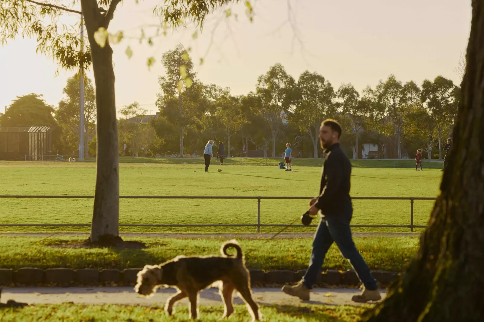 Walking the dog in the park next to ParkLife 2